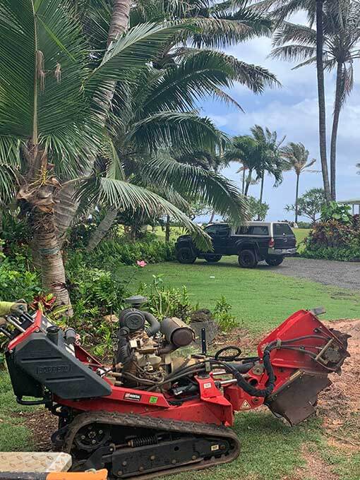 Isaiah's Tree Service - Stump Grinding Kauai