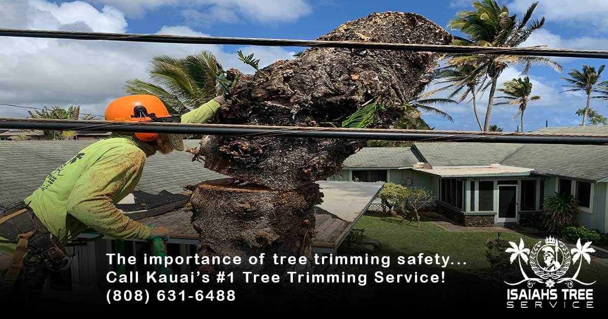 tree-trimming-safety Tree Trimming Safety Our #1 Priority At Isaiah's Tree Service