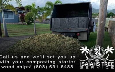 The Benefits of Composting in 2020