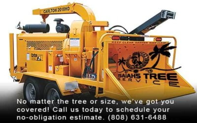 Learn Your Tree Trimming Tools: The Woodchipper