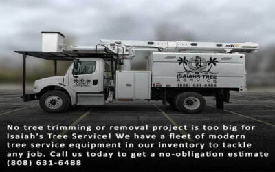 What You Need To Know About Bucket Trucks