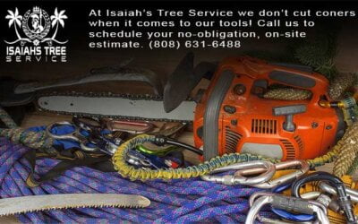 The Tree Trimming Tools of the Trade